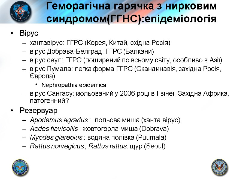Геморагічна гарячка з нирковим синдромом(ГГНС):епідеміологія Вірус хантавірус: ГГРС (Корея, Китай, східна Росія) вірус Добрава-Белград: